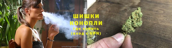 шишки Новокубанск