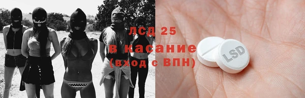 шишки Новокубанск
