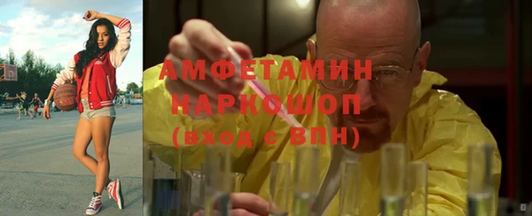шишки Новокубанск