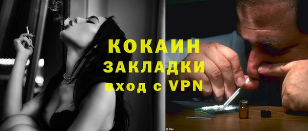 шишки Новокубанск