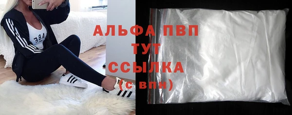 ПСИЛОЦИБИНОВЫЕ ГРИБЫ Новозыбков