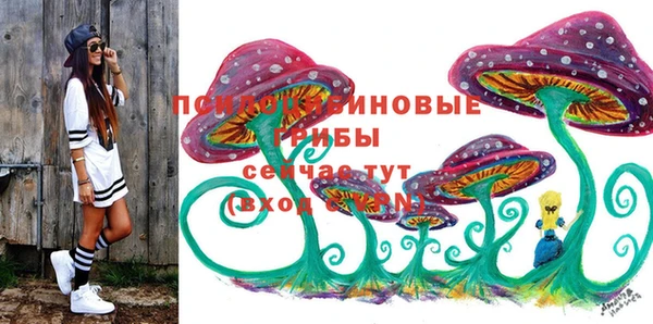 ПСИЛОЦИБИНОВЫЕ ГРИБЫ Новозыбков