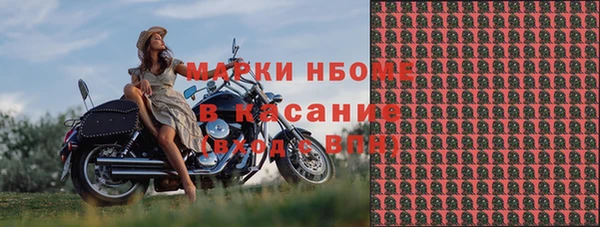 ПСИЛОЦИБИНОВЫЕ ГРИБЫ Новозыбков