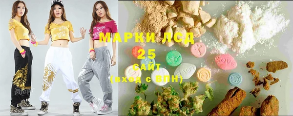 ПСИЛОЦИБИНОВЫЕ ГРИБЫ Новозыбков