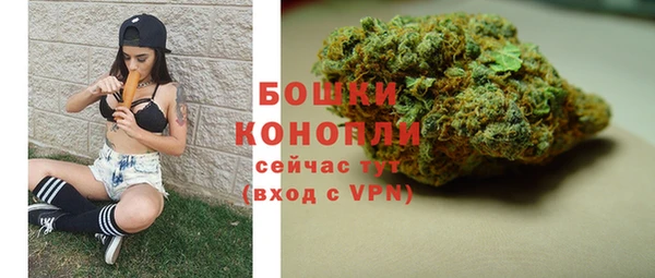 ПСИЛОЦИБИНОВЫЕ ГРИБЫ Новозыбков