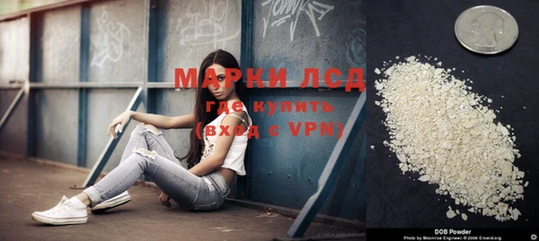 ПСИЛОЦИБИНОВЫЕ ГРИБЫ Новозыбков