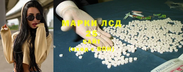ПСИЛОЦИБИНОВЫЕ ГРИБЫ Новозыбков
