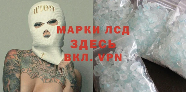 ПСИЛОЦИБИНОВЫЕ ГРИБЫ Новозыбков